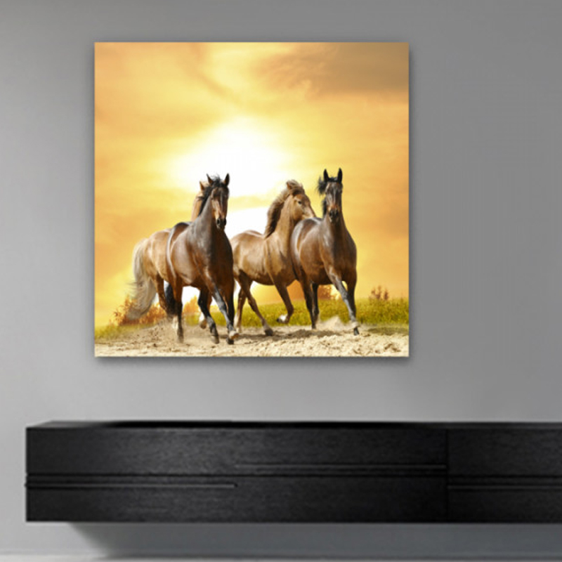 Πίνακας σε καμβά με Ζώα με άλογα
